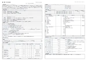 A3一枚にまとめた創業計画書のPDFプレビュー